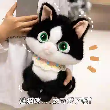 35cm45cm