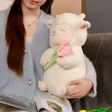 25cm40cm