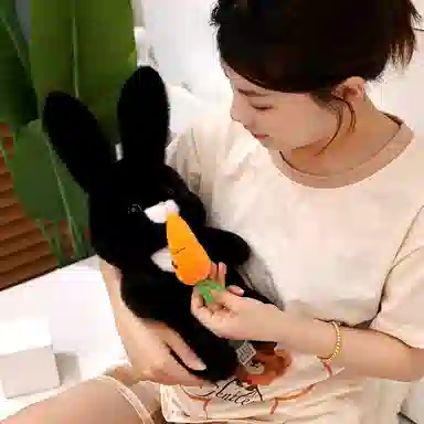 30cm40cm