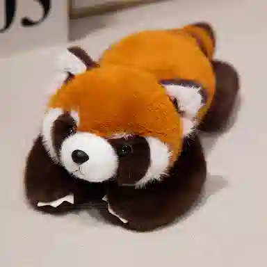 lionf 50cm60cm80cm