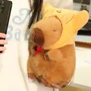 lionf 22cm33cm