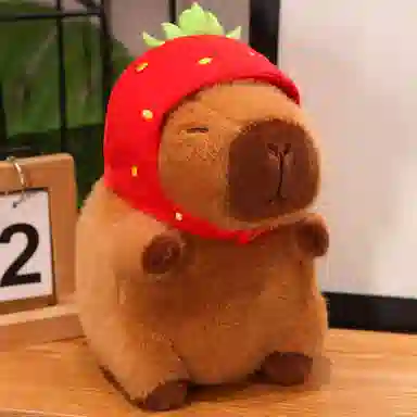 lionf 22cm