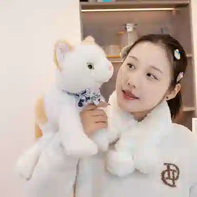 lionf 25cm35cm