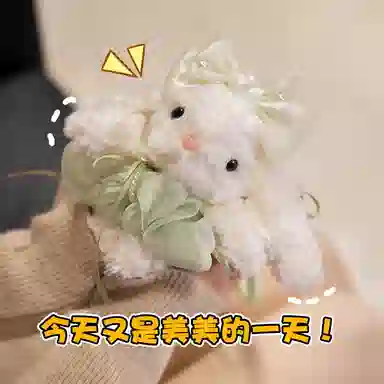 20cm