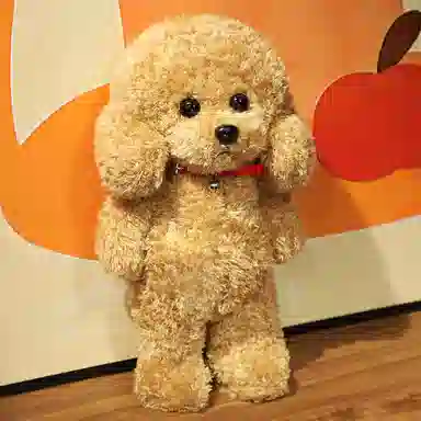 36cm