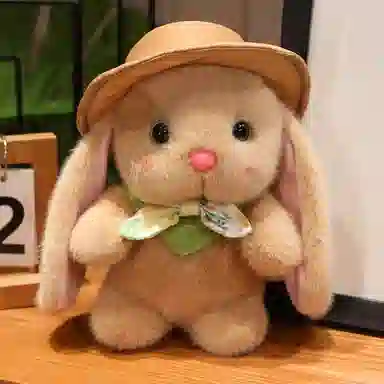 lionf 23cm