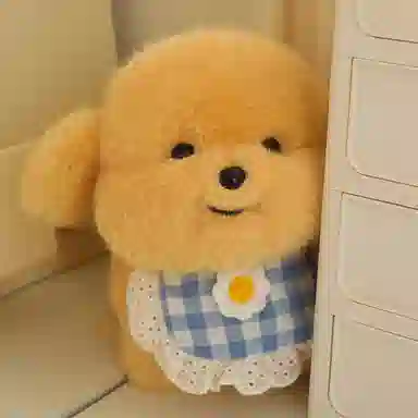 lionf 3 20cm30cm