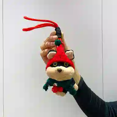 13cm
