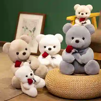 lionf 22cm35cm
