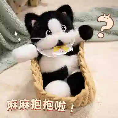 lionf 45cm60cm