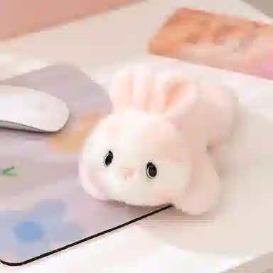 20cm25cm