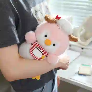lionf 17cm23cm