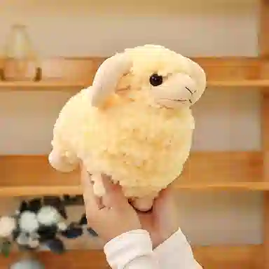 lionf 25cm