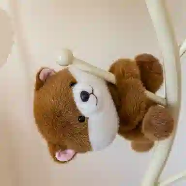 lionf 17cm