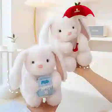 25cm35cm