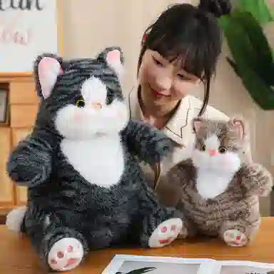 lionf 25cm40cm60cm80cm