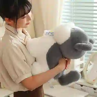 lionf 3 20cm30cm