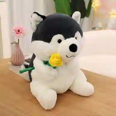 lionf 40cm