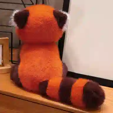 lionf 25cm30cm