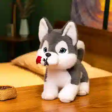 lionf 30cm