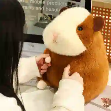 lionf 21cm26cm36cm45cm