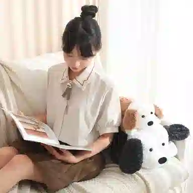 lionf 35cm55cm