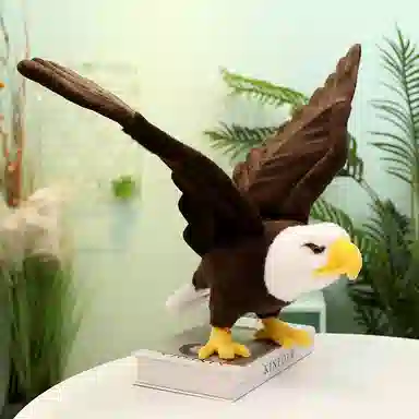 60cm90cm