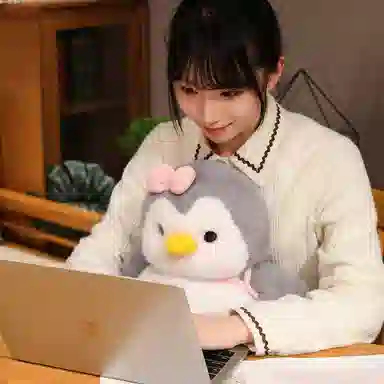 25cm35cm