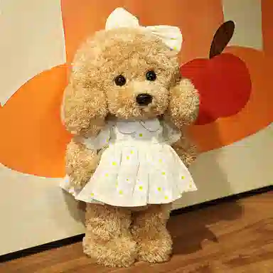 36cm