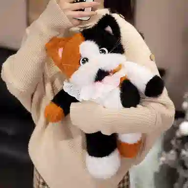 lionf 45cm60cm