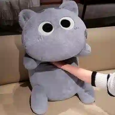 lionf 50cm90cm