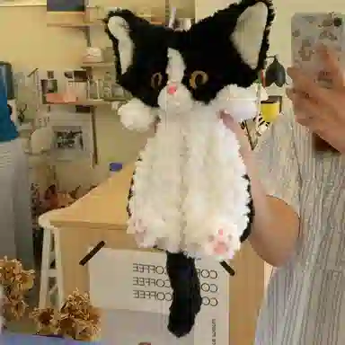 lionf 25cm