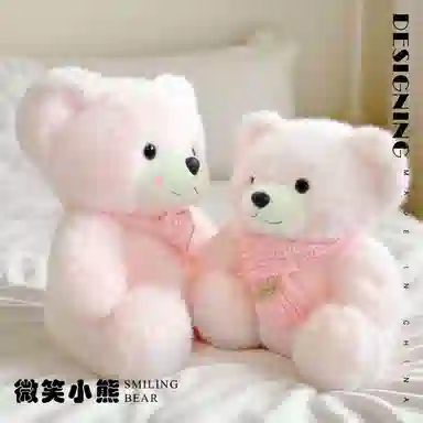 23cm28cm