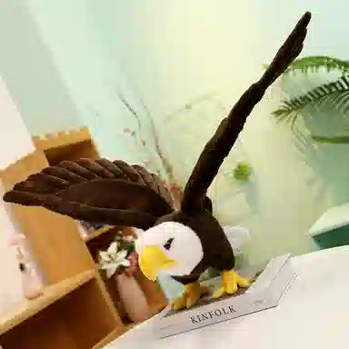 60cm90cm