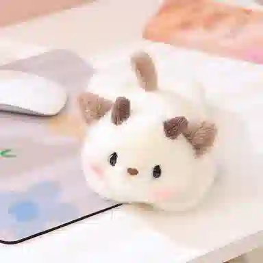 20cm25cm