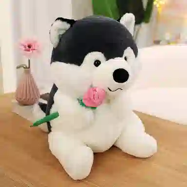 lionf 40cm