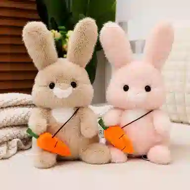 30cm40cm