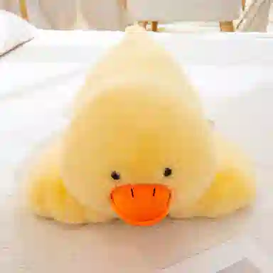 30cm45cm