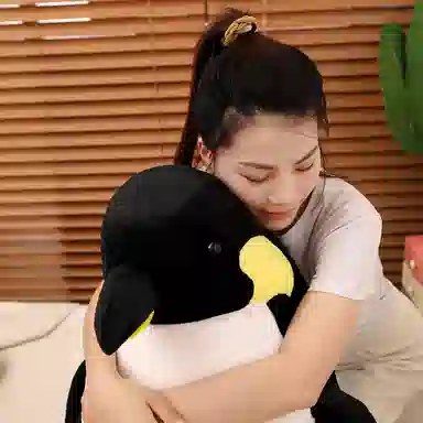 lionf 40cm50cm60cm80cm