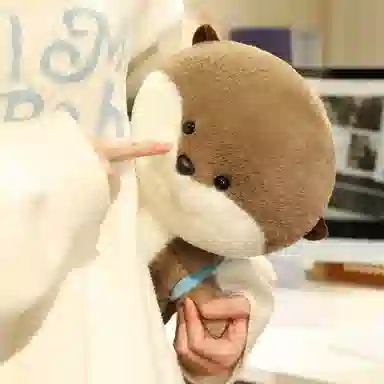 lionf 35cm