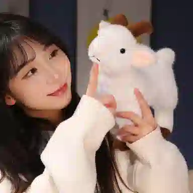 lionf 30cm