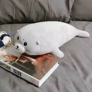 50cm70cm90cm