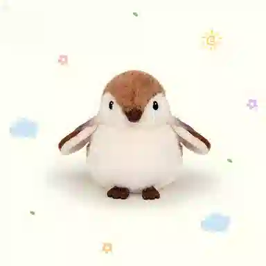 11cm18cm