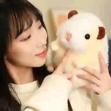 lionf 21cm26cm36cm45cm