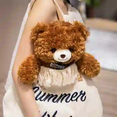 lionf 35cm45cm