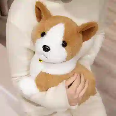 lionf 25cm32cm37cm