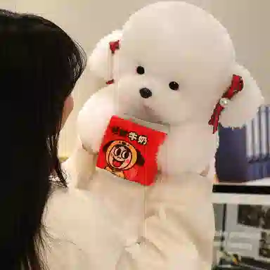 lionf 40cm