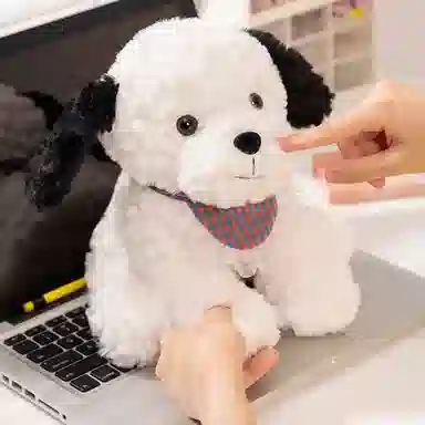 lionf 25cm