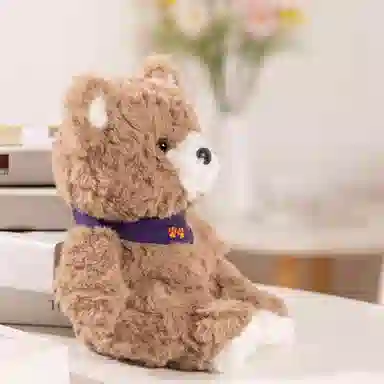 23cm