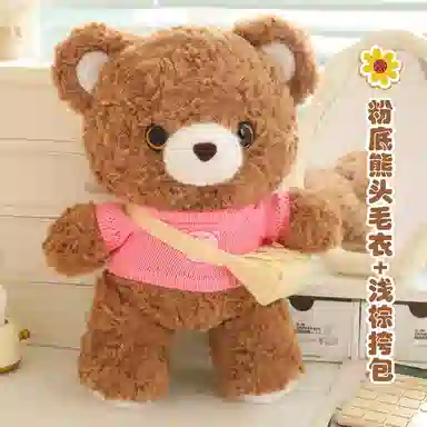 25cm35cm